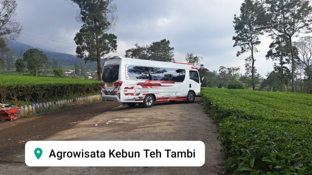 Rental Elf Tangerang Tujuan Puncak