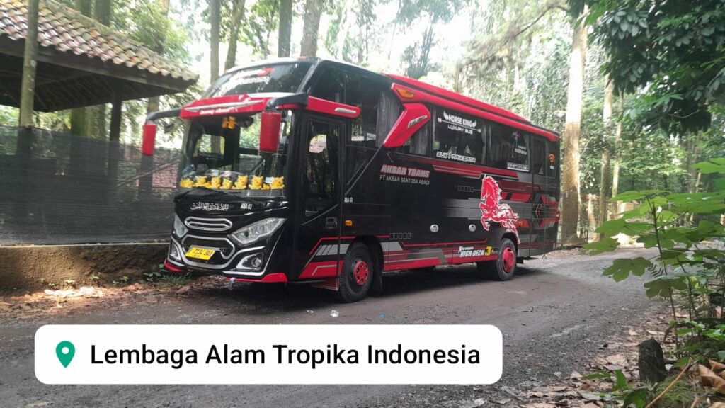 bus medium 35 seat 